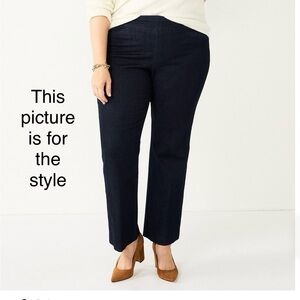 $30  20W  Croft & Barrow  Effortless Stretch Slacks  NWT